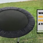 Why Does Grass Grow Faster Under a Trampoline?