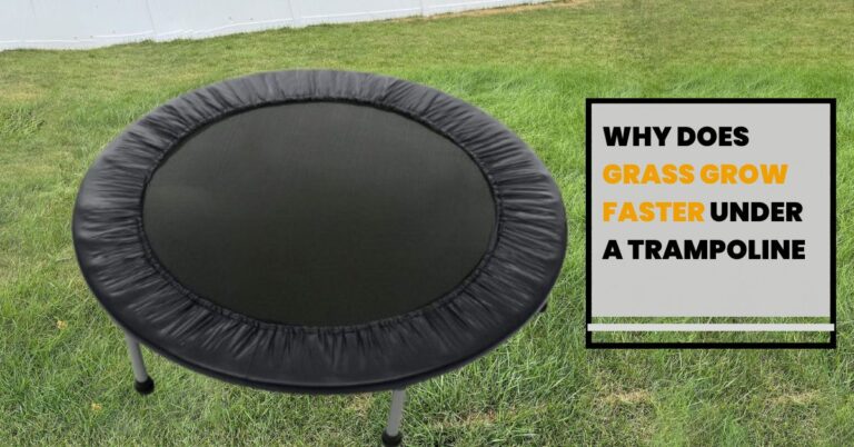 Why Does Grass Grow Faster Under a Trampoline..