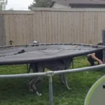 Where and How to Dispose of a Trampoline?