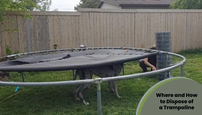 00 Where and How to Dispose of a Trampoline Where and How to Dispose of a Trampoline