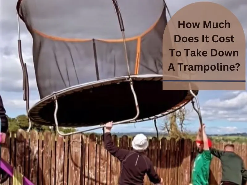 How Much Does It Cost To Take Down A Trampoline