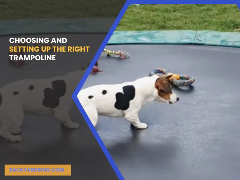 Choosing and Setting Up the Right Trampoline.